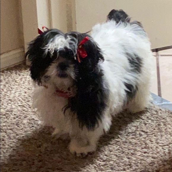 Meet your Posher, Damian - Picture 1 of 1